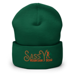 Cuffed Beanie